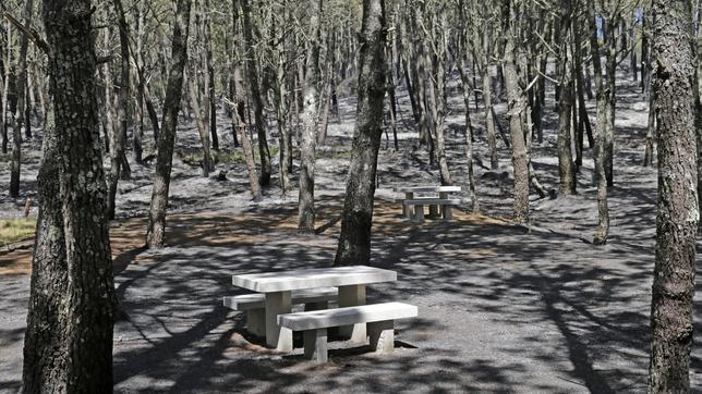 Un incendio calcina 136 hectáreas de zona protegida en Toques (La Coruña)