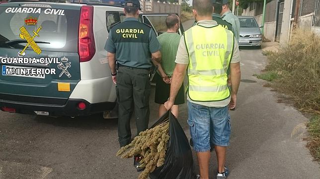 Hallan casi 350 plantas de marihuana en el garaje de un chalet en Chiva