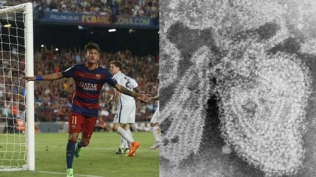 A la izquierda, Neymar celebra un gol en un amistoso contra la Roma, este 5 de agosto. A la derecha, el virus de las paperas