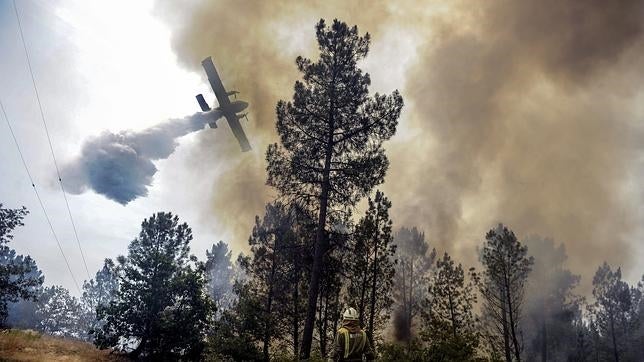 Galicia tiene un «problema» con los incendios forestales