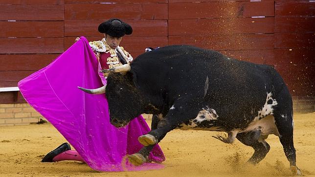 Huesca quiere toros, o algo parecido