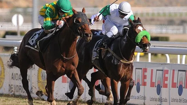 Una carrera de caballos en el Gran Hipódromo de Andalucía