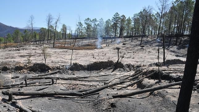 El incendio de Gata ha quemado 7.817 hectáreas, según la primera evaluación