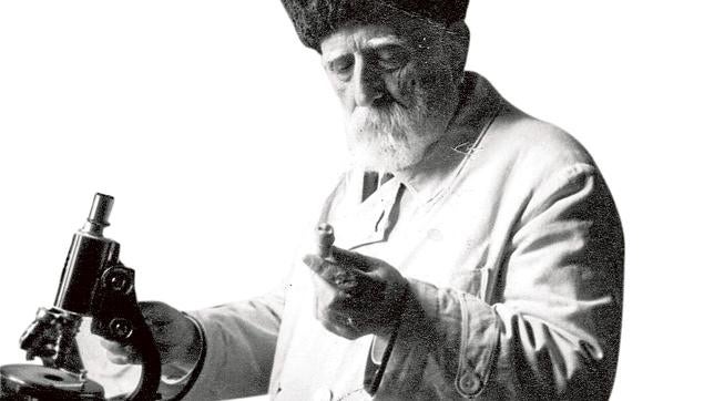 El doctor Jaume Ferran y Clua