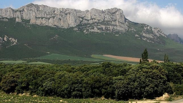 La Tierra consume en ocho meses todos sus recursos para el año 2015