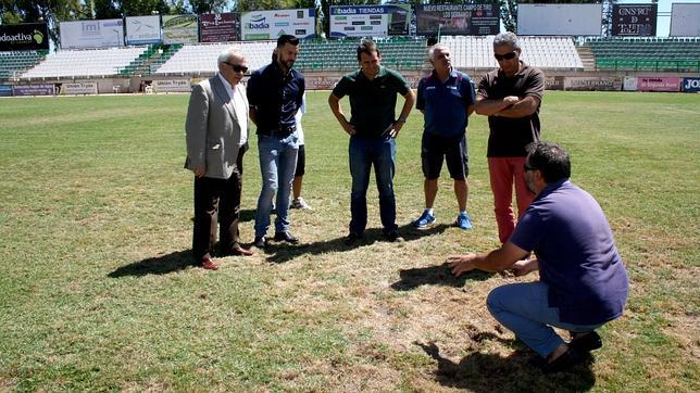 Un hongo, causa del mal aspecto del cesped del Santo del Caballo