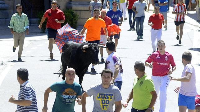 Los encierros tienen un gran protagonsimo durante las fiestas de Alameda