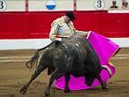 Ponce corta la primera oreja en la vuelta de los toros a San Sebastián