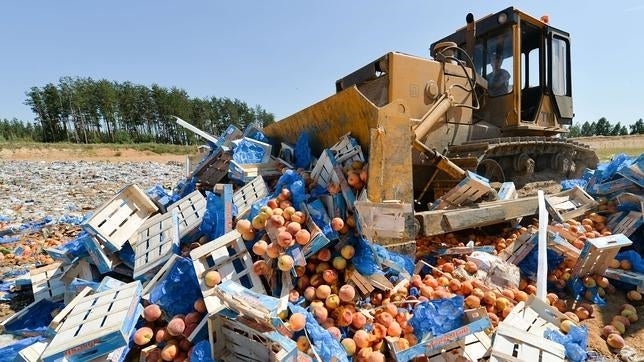 Rusia destruye tres toneladas de limones españoles