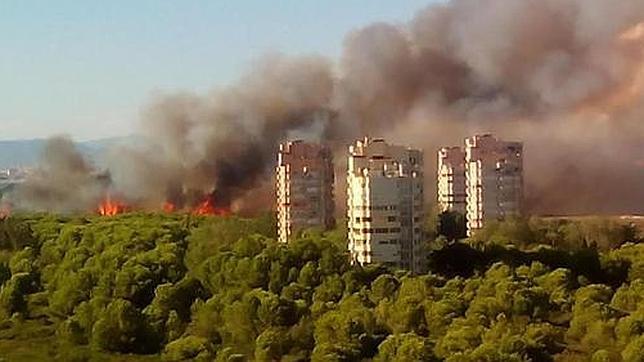 El incendio de El Saler se lleva por delante seis hectáreas de vegetación