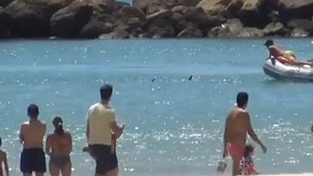 Dos atunes siembran el pánico en la playa de Barbate, Cádiz