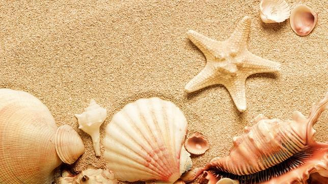 Buscar conchas y piedrecitas de multitud de formas y colores