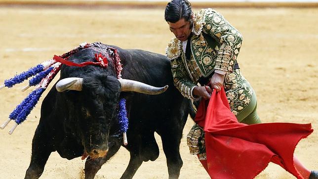 Dulcísimos toros para la estética en Illumbe