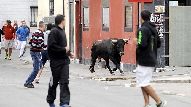 Fallece un hombre al ser corneado por un toro en Museros, en Valencia