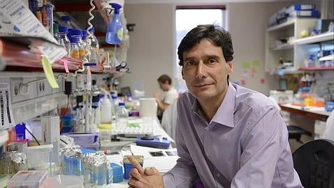 Manuel Serrano, director del Programa de Oncología Molecular del CNIO