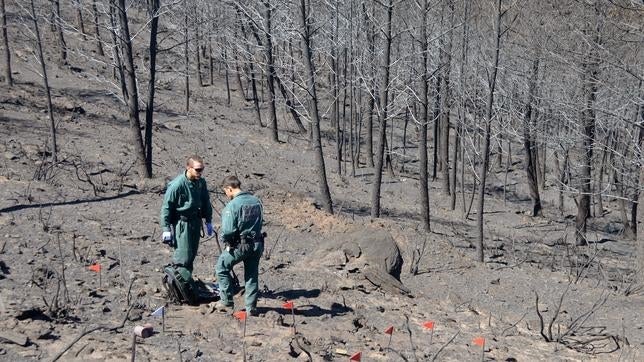 La Sierra de Gata recuperará parte de su paisaje en dos años