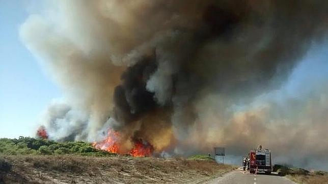 El incendio forestal de El Saler queda controlado tras arrasar dos hectáreas