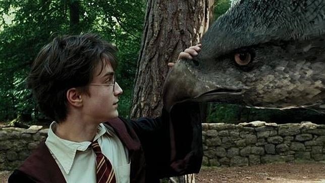 Los «animales fantásticos» de Harry Potter comienzan a rodar