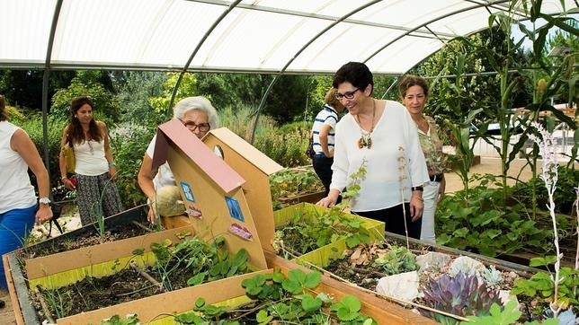 Hotel y hospital de guardia para plantas en Pozuelo