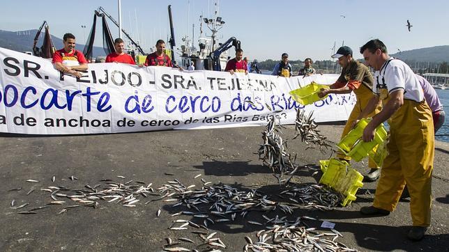 Marineros del cerco arrojaron pescado azul en el muelle de Portosín