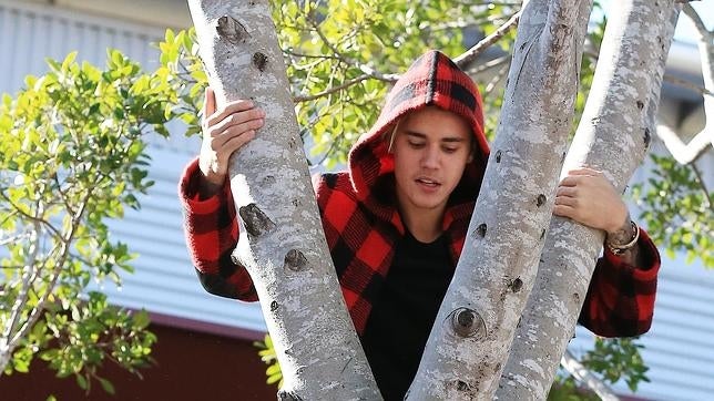 El cantante colgado de un árbol el mes pasado cerca del All Phones Arena.