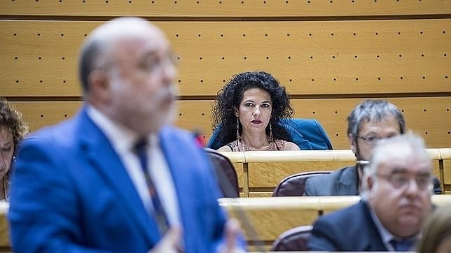 Podemos veta en el Senado la ley que «encubre a los defraudadores fiscales»