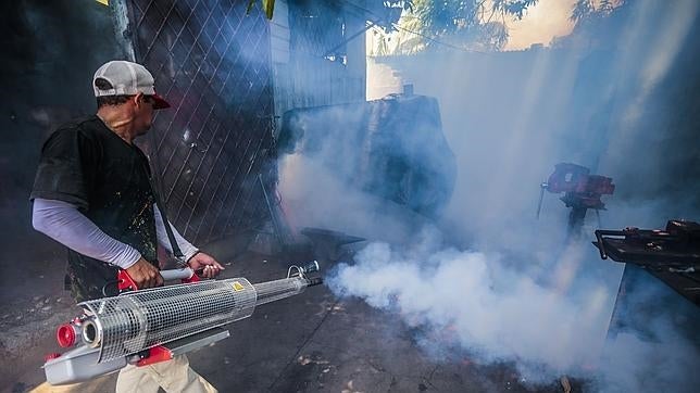 Sanidad formará a los médicos de atención primaria en el virus del chikungunya