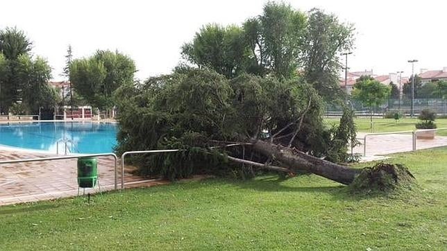 Aranjuez pedirá declaración de zona catastrófica tras los destrozos de la tormenta