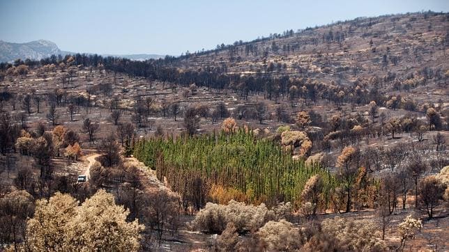 Imagen más difundida del Gran Incendio Forestal de Andilla de 2012