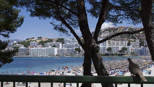 Imagen de una zona hotelera de Mallorca