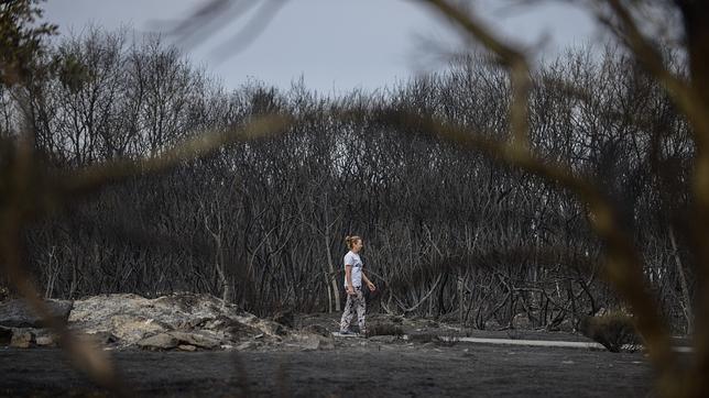 Detienen a un hombre de 83 años como presunto autor del incendio de Cualedro