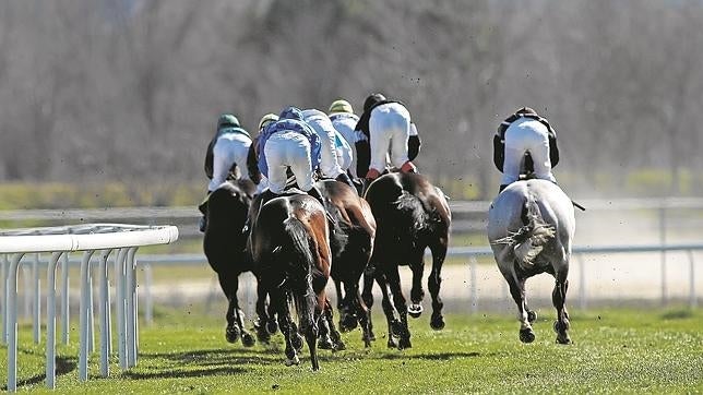 El Hipódromo de la Zarzuela ya festeja las carreras