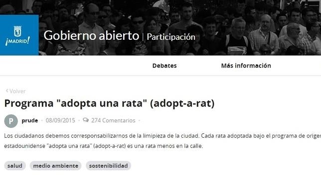 Las disparatadas sugerencias en la nueva web del Ayuntamiento