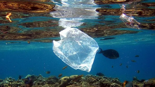 El 75 % de los residuos vertidos en el mar son de plástico