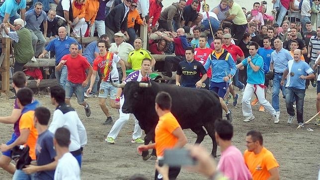 El polémico Toro de la Vega regresa con más «fiereza»