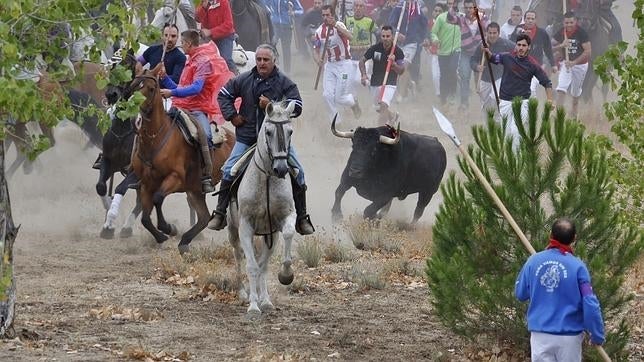 Directo: El jurado declara nulo el torneo del Toro de la Vega por incumplirse el  reglamento