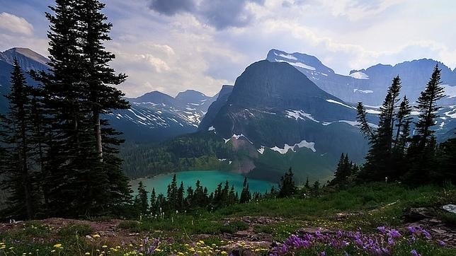 El cambio climático empuja las plantas tropicales hacia las cumbres