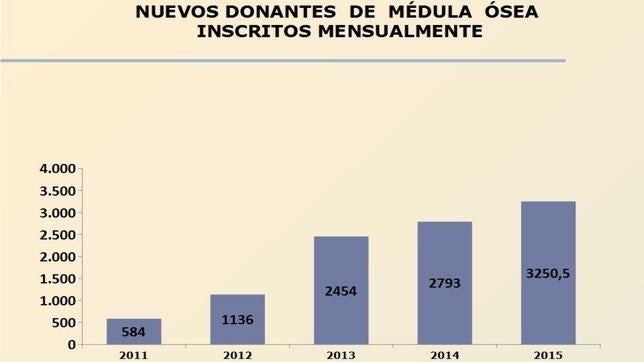 España recibe 100 nuevos donantes de médula al día