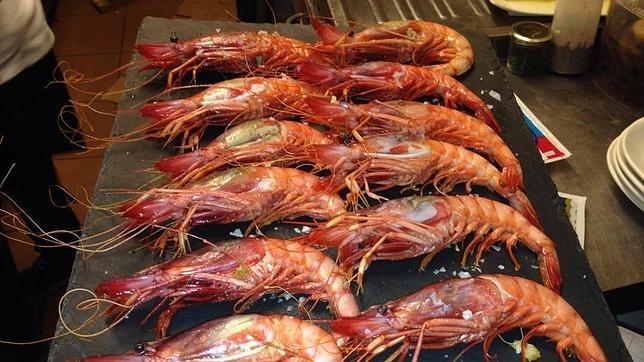 Impresionantes gambas rojas de garrucha, en La Mar Salá