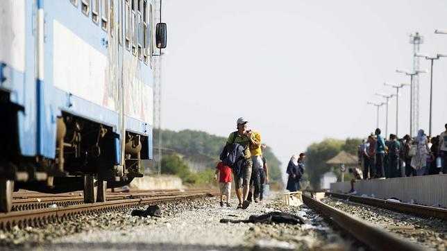 Córdoba podría acoger entre 200 y 300 refugiados sirios