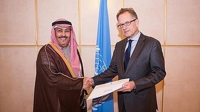 Escándalo tras la elección por la ONU de un saudí como líder del comité de DDHH