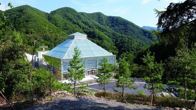 Light of Life Church, arquitectura en plena naturaleza