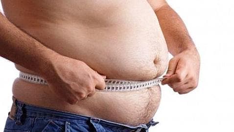 La leptina est asociada con la obesidad