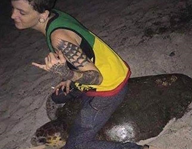 Una mujer es arrestada por montar a una tortuga marina en Florida