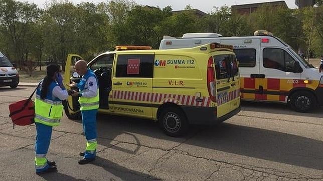 Hospitalizados 16 niños tras ser atacados por avispas en Pozuelo Alarcón