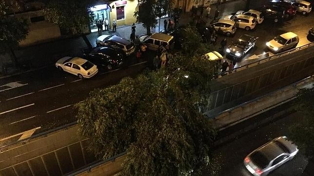 La caída de un árbol sobre tres coches corta el tráfico y deja un herido en Embajadores