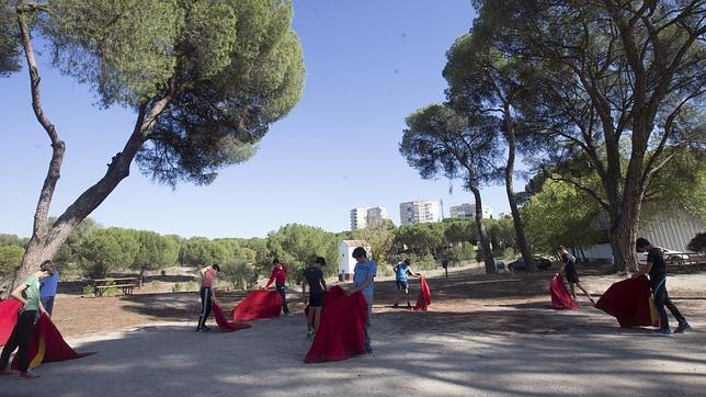 Los trámites que faltan para que la FP de Tauromaquia se haga realidad