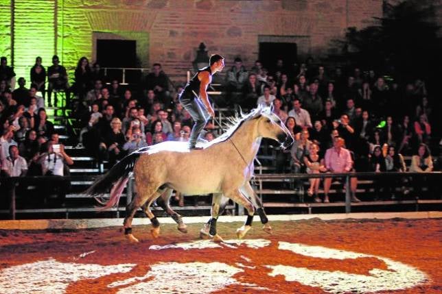 Córdoba Ecuestre da un paso clave para gestionar Caballerizas