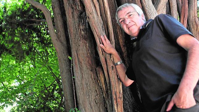 «Los árboles del Retiro se caen porque no están bien plantados»