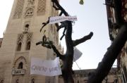 Los vecinos de la Catedral dicen que sólo permitirán la plantación de naranjos